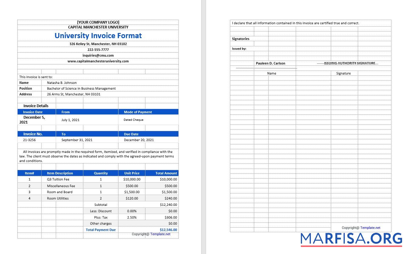 Realistic Sample University Invoice Template